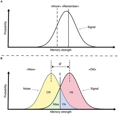 Electrophysiological analysis of signal detection outcomes emphasizes the role of decisional factors in recognition memory